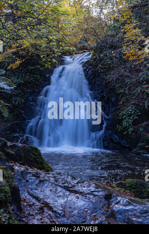 Glenoe Waterfall in Autumnal colours, Causeway coastal route, Larne, County Antrim, Northern Ireland Stock Photo