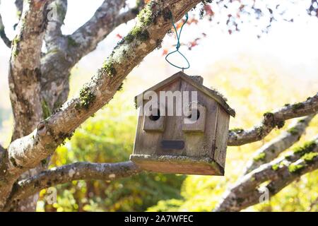 Bird House Hanging From The Tree With The Entrance Hole In The