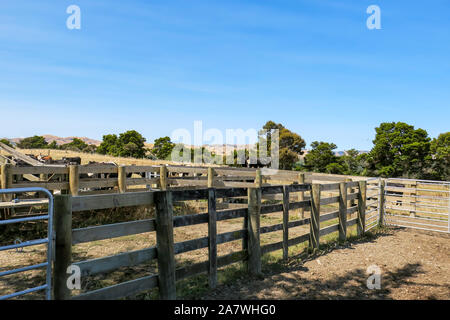 Cattle yard on the dry farm in summer with the cows in the background Stock Photo