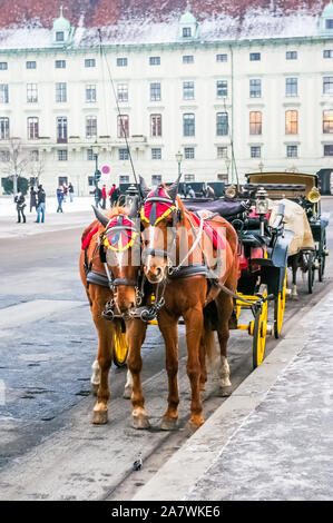 Two horses harnessed to the carriage at winter in Vienna, Austria Stock Photo