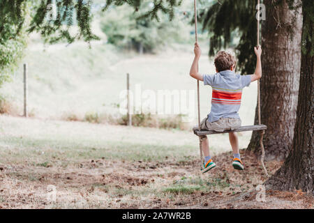 Rear view of boy sitting on swing under pine trees Stock Photo