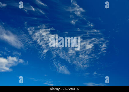 A deep blue sky with white Cirrus Fibratus, clouds floating by in rural Alberta Canada. Stock Photo