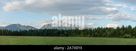 Panorama of High Tatras with prominent mount Krivan peak Slovak symbol in centre, meadow and coniferous trees forest at foreground Stock Photo