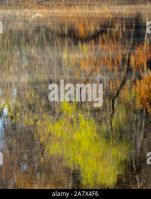 Fall leaves reflected in water - fall colors - fall trees reflecting - impressionism - impressionist photography - steam fog - misty water Stock Photo