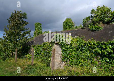 Overgrown house, Spike Island Prison & Museum,Cobh, County Cork, Ireland Stock Photo