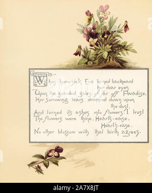 Heartsease, Viola tricolor, with calligraphic poem in box. Chromolithograph by Louis Prang  from Alice Ward Bailey's Flower Fancies, Boston, 1889. Illustrated by Lucy Baily, Eleanor Ecob Morse, Olive Whitney, Ellen Fisher, Fidelia Bridges, C. Ryan and F. Schuyler Mathews. Stock Photo