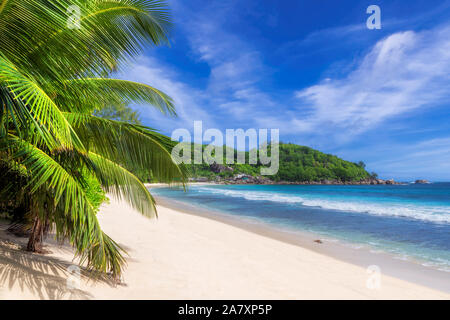 Sunny tropical beach paradise Stock Photo