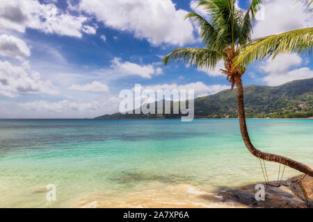 Sunny beach with palm trees and turquoise sea Stock Photo