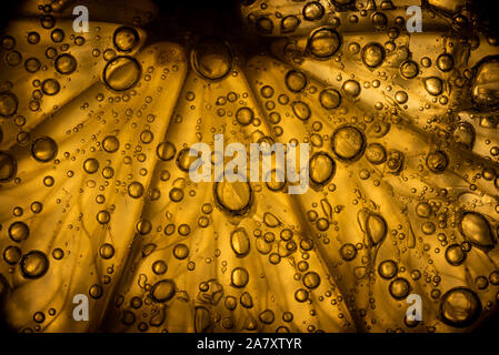 Close up of a lemon slice with bubbles. Abstract macro image. Stock Photo