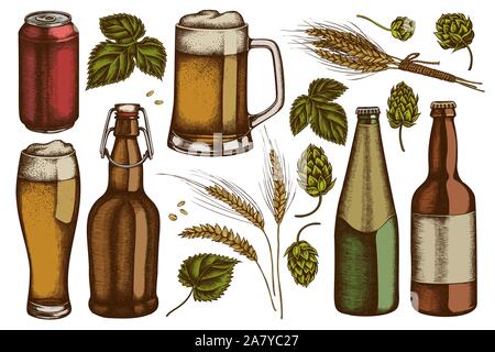 Vector set of hand drawn colored  rye, hop, mug of beer, bottles of beer, aluminum can stock illustration Stock Vector