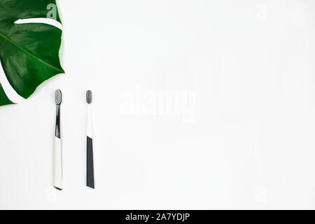 Manual toothbrush set and green leaf on white background. Toothbrushes in two colours. Dental health, teeth whitening concept. top view, dental care c Stock Photo