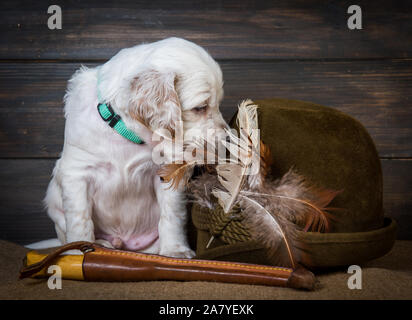 english setter puppy dog with knife and duck