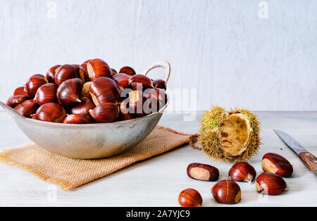 Autumn composition of chestnuts and hedgehog just picked, in a metellic basket Stock Photo