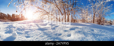 Branches covered with snow on blue sky background Stock Photo