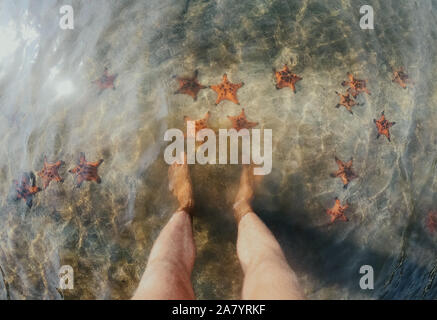 Red Starfish in the sea on yellow sand in Vietnam Stock Photo