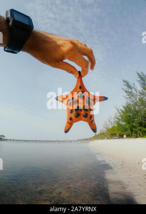 Red Starfish in hand on the background of the sea in Vietnam Stock Photo