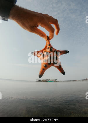 Red Starfish in hand on the background of the sea in Vietnam Stock Photo