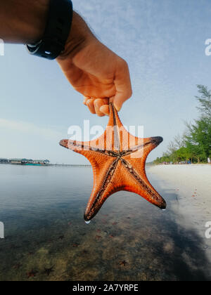 Red Starfish in hand on the background of the sea in Vietnam Stock Photo