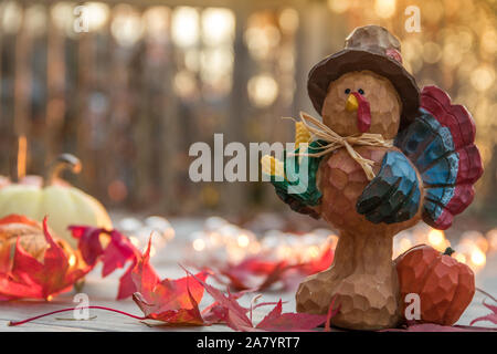 Thanksgiving concept with turkey pumpkins and leaves in warm sun.  Fall scene background. Stock Photo