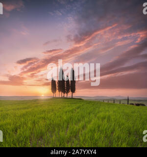 Impressive spring landscape,view with cypresses trees ,Tuscany,Italy. Beautiful background concept Stock Photo