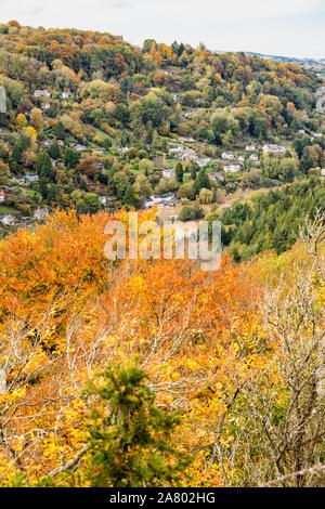 Symonds Yat West in the Wye Valley in autumn viewed from Symonds Yat Rock, Herefordshire UK - The River Wye is in flood due to heavy rain in Wales. Stock Photo