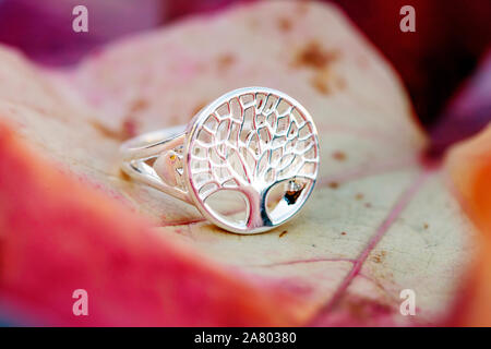 Sterling silver tree shape ring detail on natural Autumn background Stock Photo