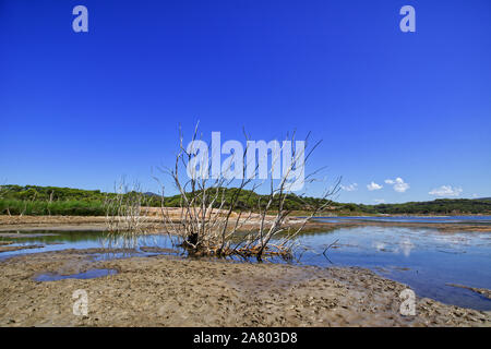 Lake Baratz (Lago di Baratz), the only natural freshwater lake in Sardinia. Lake with reflections, blu sky and a dried branch. Stock Photo