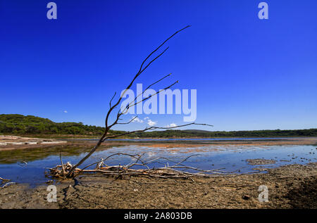 Lake Baratz (Lago di Baratz), the only natural freshwater lake in Sardinia. Lake with reflections, blu sky and a dried branch. Stock Photo