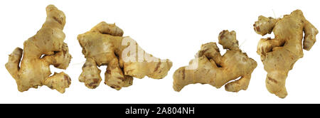 Fresh Ginger (Zingiber officinale) isolated on white background, herb medical concept. Stock Photo