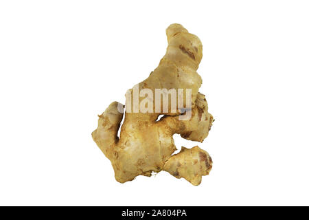 Fresh Ginger (Zingiber officinale) isolated on white background, herb medical concept. Stock Photo