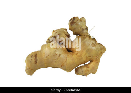 Fresh Ginger (Zingiber officinale) isolated on white background, herb medical concept. Stock Photo