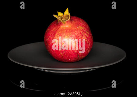 One whole fresh red pomegranate on gray ceramic plate isolated on black glass Stock Photo
