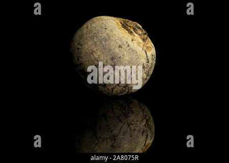 One whole raw red beetroot isolated on black glass Stock Photo