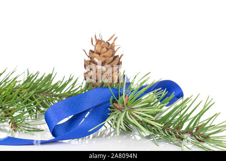 One whole christmas green branch spruce one cone with blue ribbon isolated on white background Stock Photo
