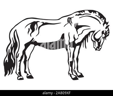 Monochrome decorative portrait of horse standing in profile, horse exterior. Vector isolated illustration in black color on white background. Image fo Stock Vector