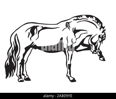 Monochrome decorative portrait of horse standing in profile, horse exterior. Vector isolated illustration in black color on white background. Image fo Stock Vector