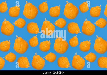 Seamless Pattern With Pumpkins On Blue Background Stock Photo