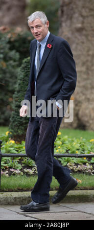 Downing Street, London, UK. 5th November 2019. Zac Goldsmith, Minister of State at the Department for Environment, Food and Rural Affairs and at the Department for International Development in Downing Street for weekly cabinet meeting. Credit: Malcolm Park/Alamy Live News.