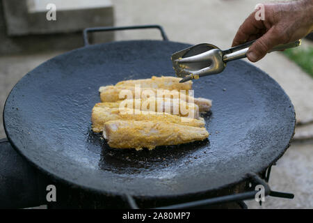 Delicious hake fillets roasted in the frying pan. Stock Photo