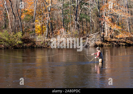 Fly Fishing on the Shetucket River in Scotland, CT, USA Stock Photo