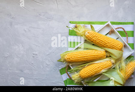 Fresh corn in cobs at rustic wooden tray on light gray concrete background. Top view. Space for text. Stock Photo