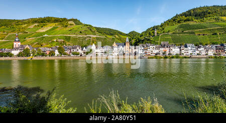 panorama of community Zell on the Moselle river, Germany, houses along the river bank with steep vineyards and Collis Tower Stock Photo