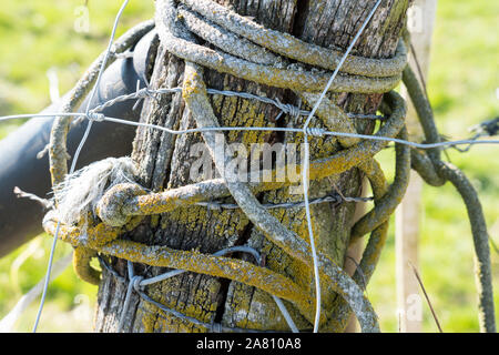 Old rope is wrapped around a fence post Stock Photo