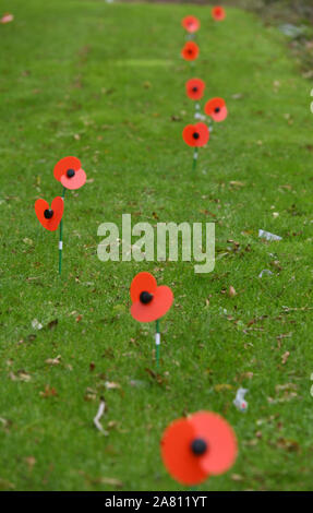 'Operation Poppy Street'The family of a young Army veteran surprise their neighbours by decorating their whole street and primary school with poppies in support of the Royal British Legion¿¿s 2019 Poppy Appeal, with the support of local service personnel. Tuesday 29th October 2019. Stock Photo