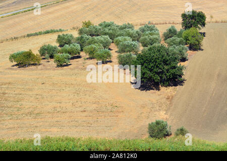 Sunny landscapes in the Molise countryside in  southern Italy. Stock Photo
