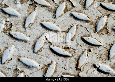 Rust-coloured metal surface Stock Photo
