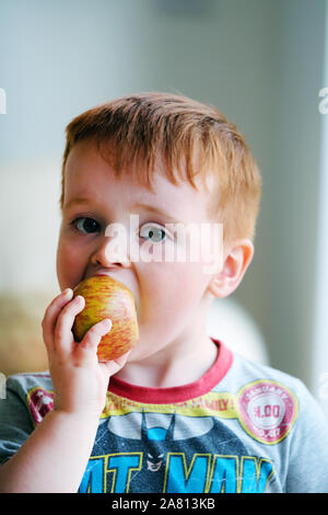 A young boy, pre school, biting into, and enjoying, a healthy apple. One of his five fruits or greens a day Stock Photo