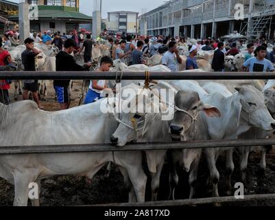 Local cattle traders at the Livestock Auction Market in Padre Garcia, Batangas, Philippines - May 03, 2019 Stock Photo