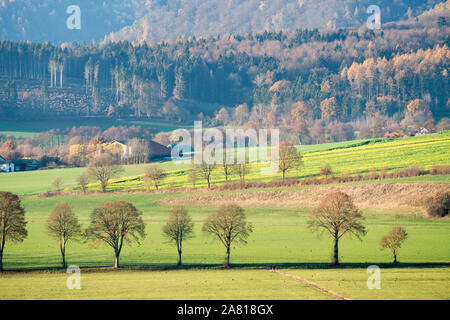 View of Solling forest, Weser River, Lower Saxony, Germany Stock Photo
