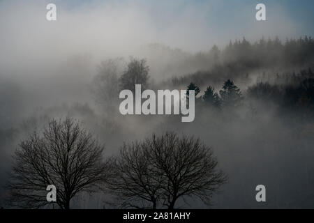Foggy landscape, near Oberweser, Weser Uplands, Weserbergland, Hesse, Germany; Stock Photo